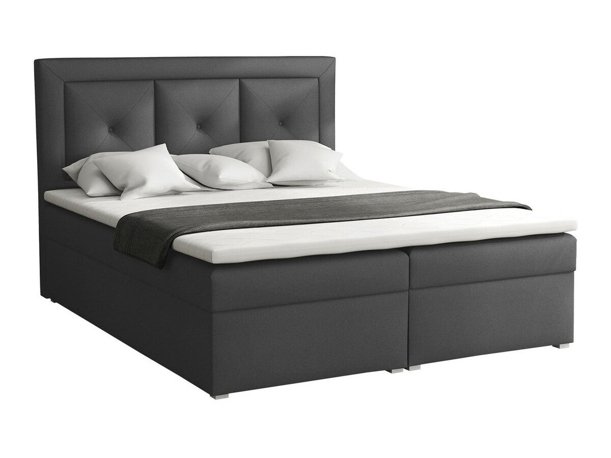 Kontinentalseng Pomona 113