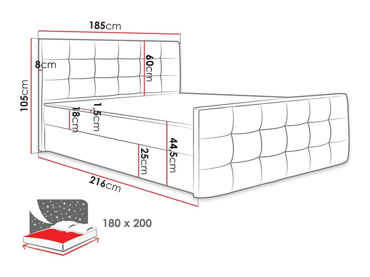 Kontinentalseng Memphis 100