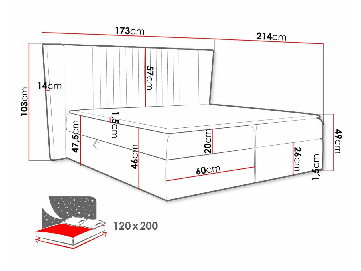 Kontinentalseng Baltimore 184