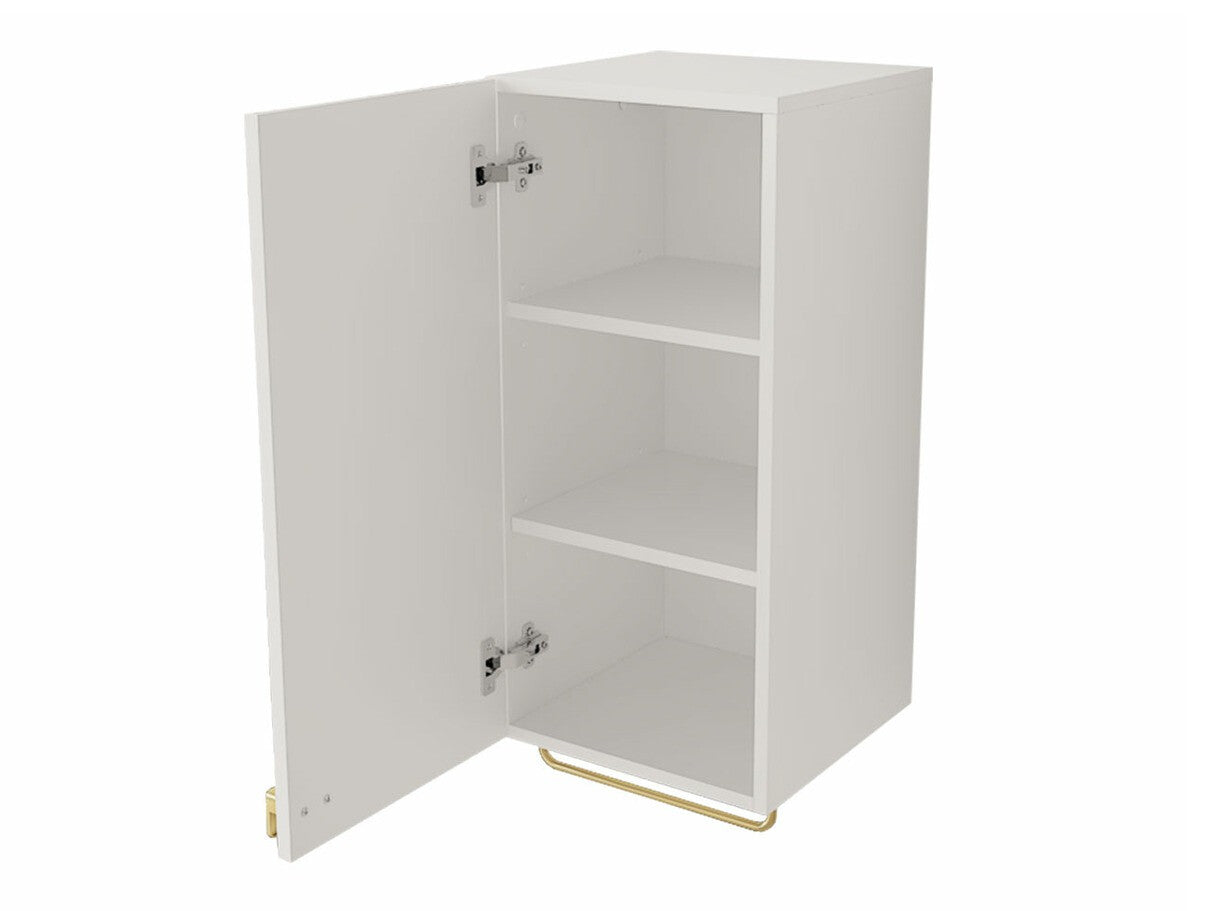 Wall mounted bathroom cabinet Merced R102