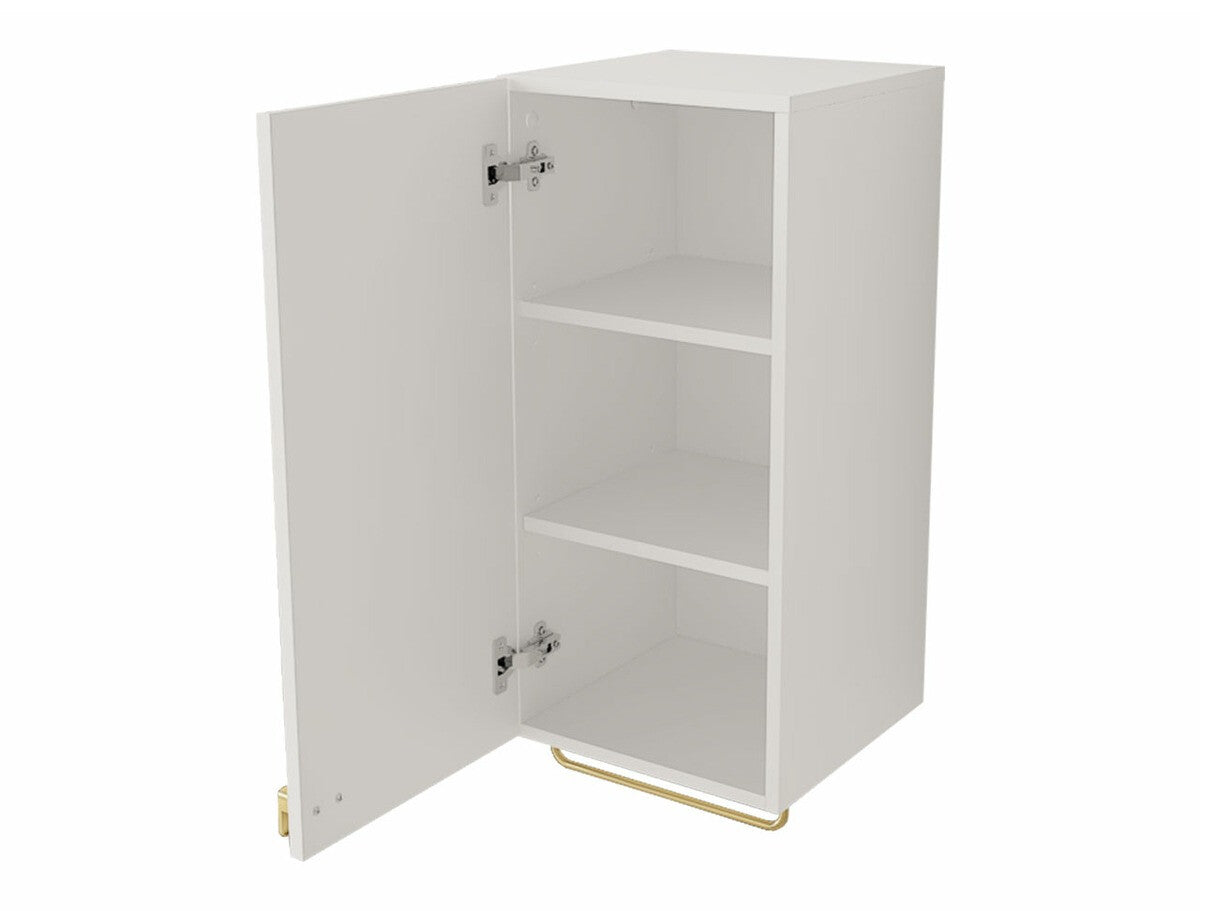 Wall mounted bathroom cabinet Merced R102