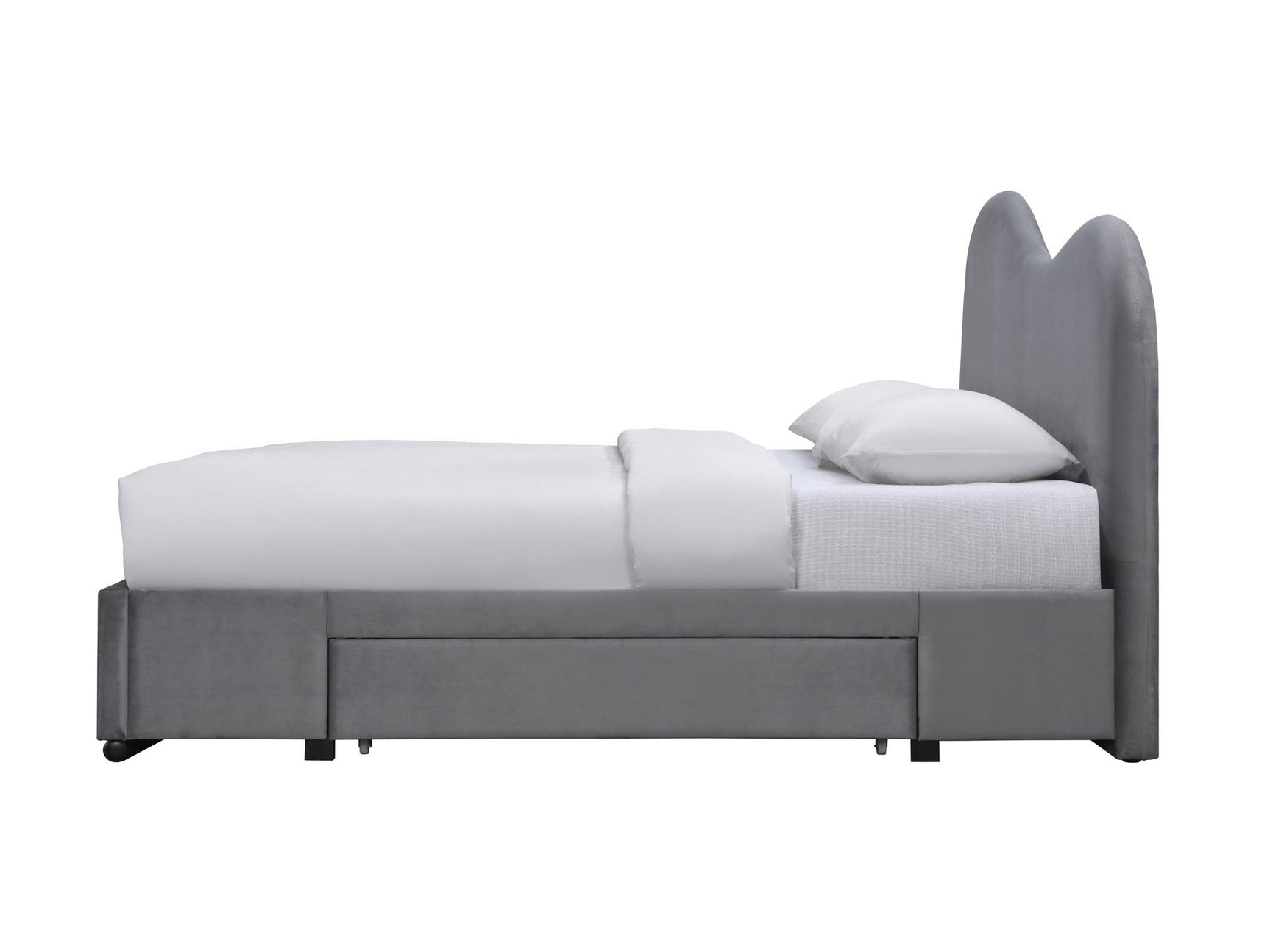 Seng Houston 1934 4234768