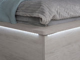 Seng Fivelbo 105