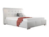 Seng Baltimore 107