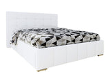 Seng Florence 100