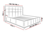 Seng Florence 100