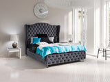 Seng Florence 102