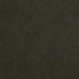 Kontinentalseng Baltimore 154