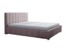 Seng Baltimore 120