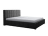 Seng Baltimore 120