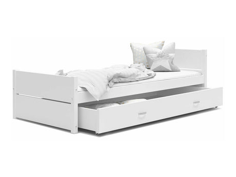 Seng Aurora 176