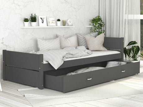 Seng Aurora 176