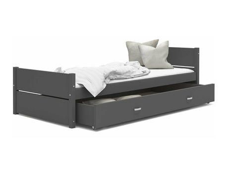 Seng Aurora 176