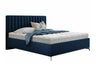 Seng ComfiDream 173