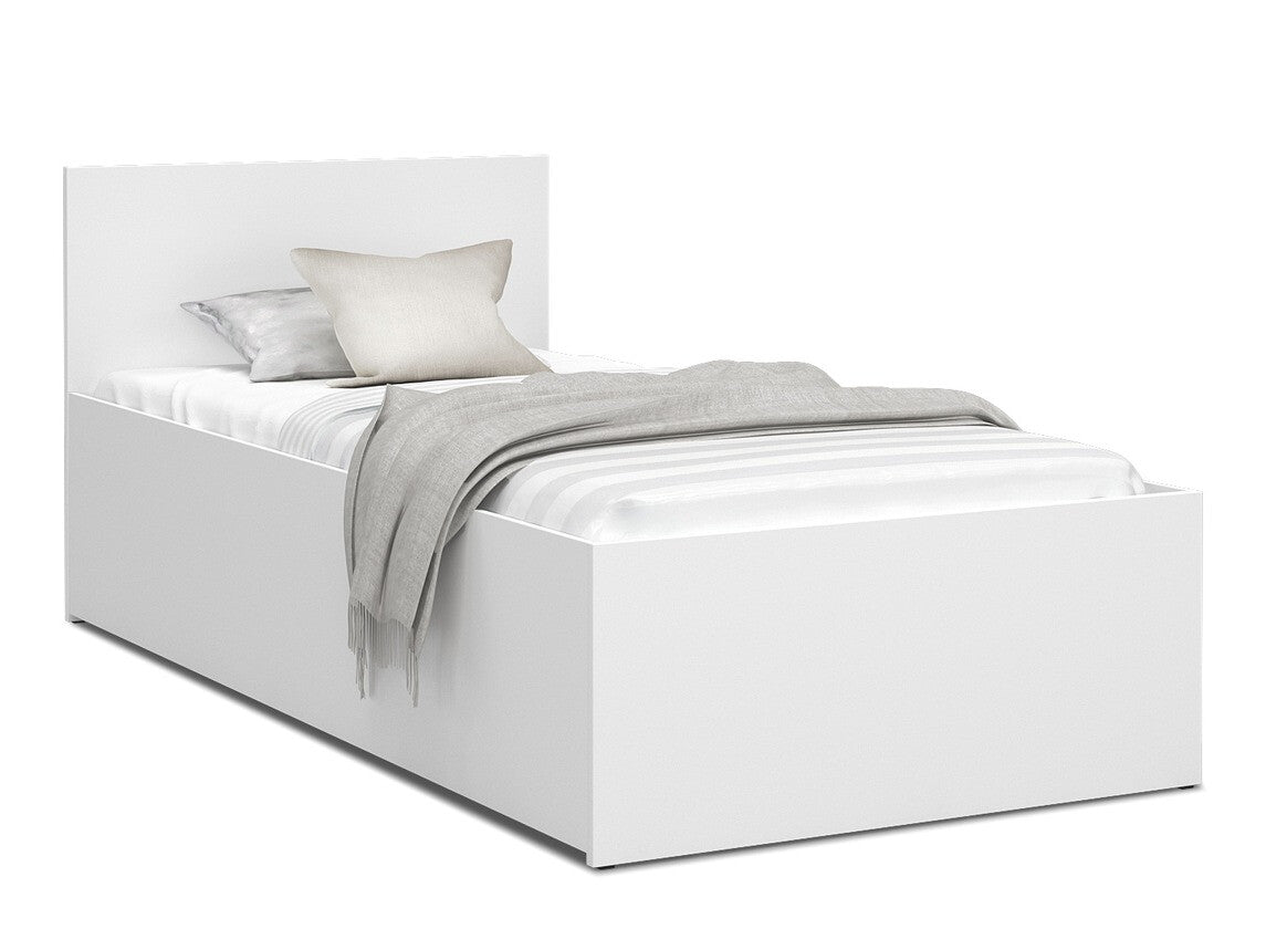Seng Aurora 157