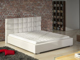 Seng ComfiDream 129