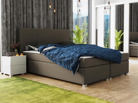 Kontinentalseng Memphis 102