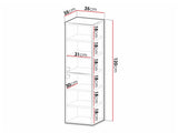 Wall mounted bathroom cabinet Merced R101