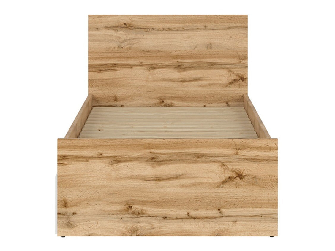 Seng Avifera 116