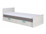 Seng Murrieta F101