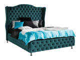 Seng Florence 102