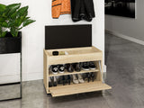 Skoskab Camtesu 102