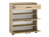 Skoskab Camtesu 109