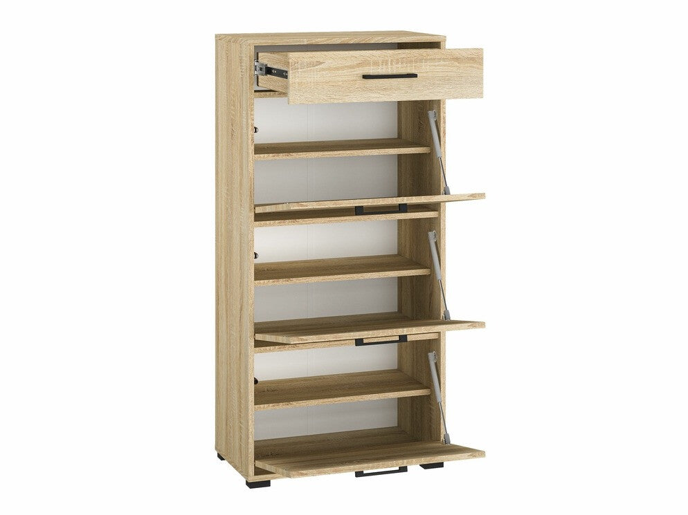 Skoskab Camtesu 113