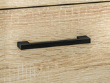 Skoskab Camtesu 113