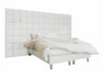 Continental bed Logan 102