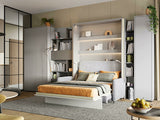 Reol Concept Pro Lenart AH146