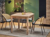 Bord Houston 224