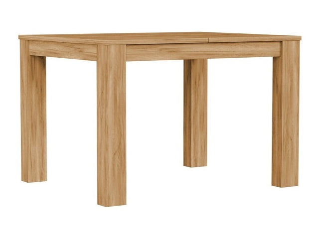 Bord Remlevi 109
