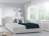 Seng Baltimore 122