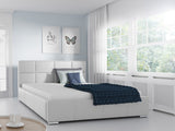 Seng Baltimore 122