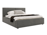 Seng Clovis 117