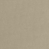 Seng Baltimore 192