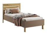 Seng Fresno AN107