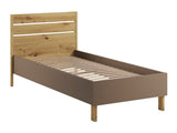 Seng Fresno AN107