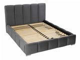 Seng TrendyNest 106