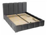 Seng TrendyNest 106