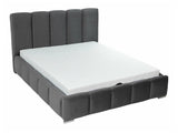 Seng TrendyNest 106