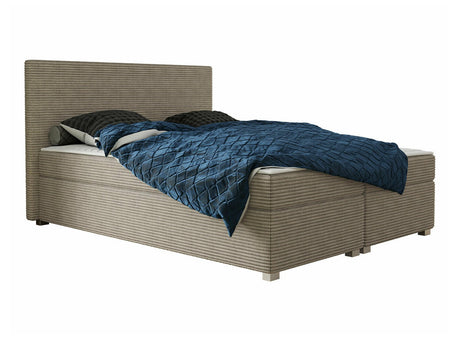 Kontinentalseng Memphis 137