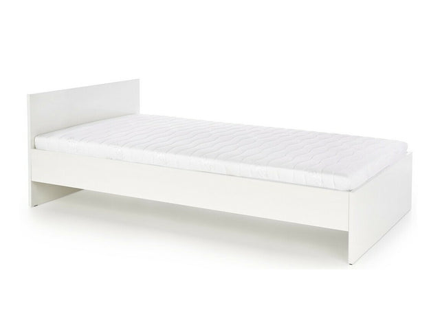 Seng Cirveso 104