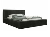Seng TrendyNest 107