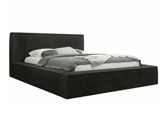 Seng TrendyNest 107