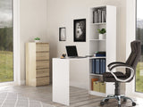 Skrivebord Mandeville 252