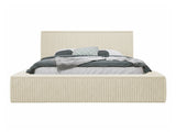 Seng TrendyNest 107