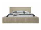 Seng TrendyNest 107
