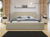 Seng TrendyNest 107
